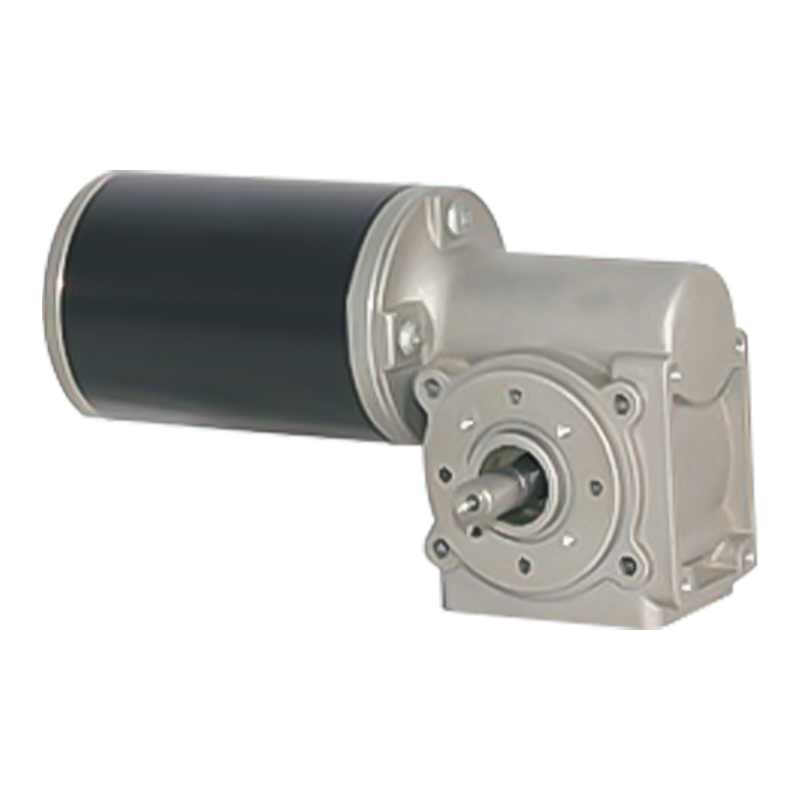 63JW/63ZY105 Maighnéad Buan Brushed Worm Gear Motor