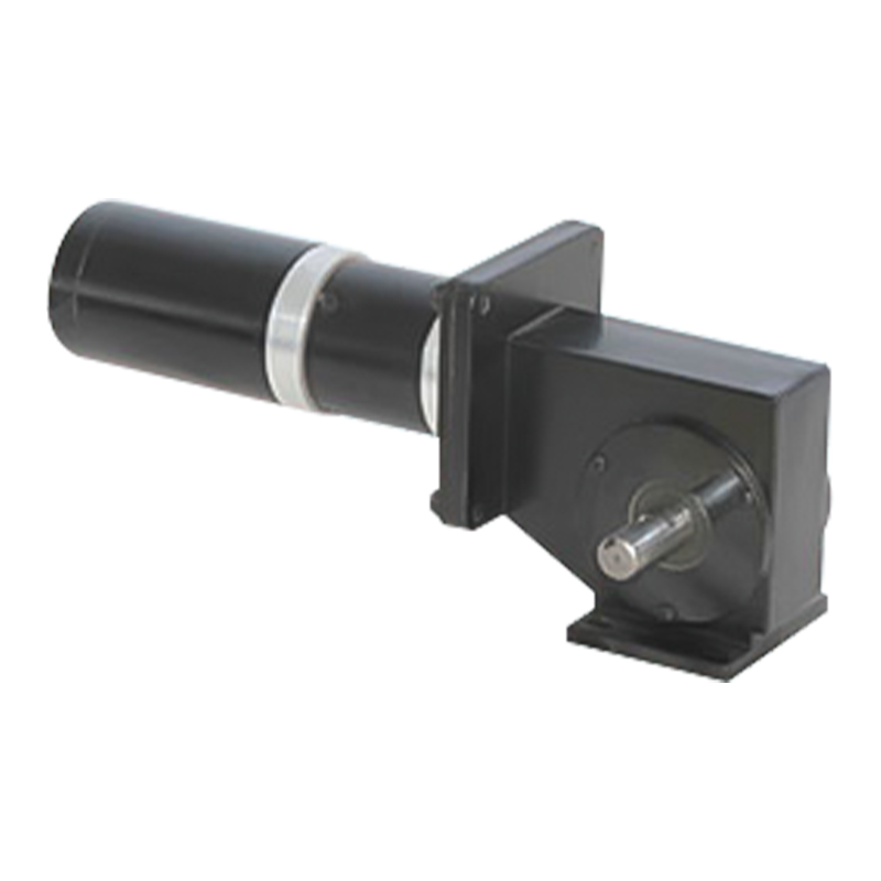 90JW/60JX/60ZY Cóimheas Ardghiaráil Maighnéad Buan Brushed Worm Gear Motor