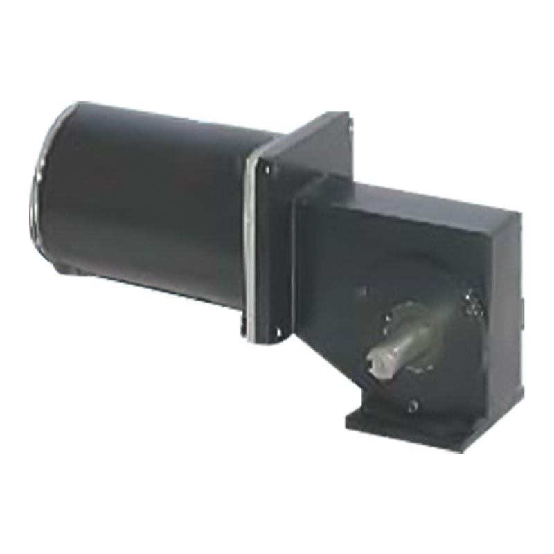 90JW/83ZY125 2000-3000 RPM Maighnéad Buan Mótar Giaranna Worm Scuabtha