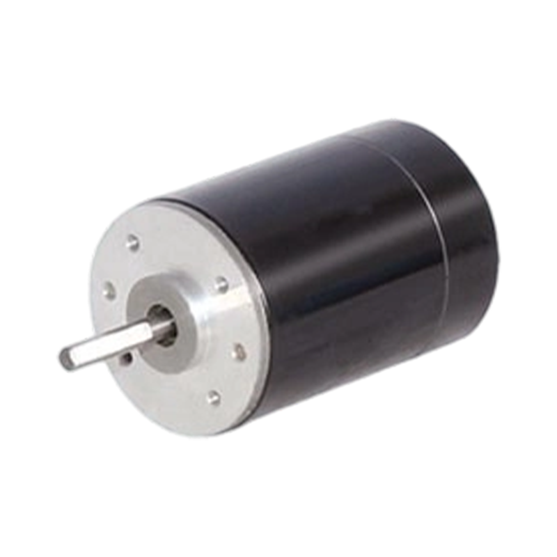 38ZY63 38mm 24V/48V Maighnéad Buan Mótar DC Brush